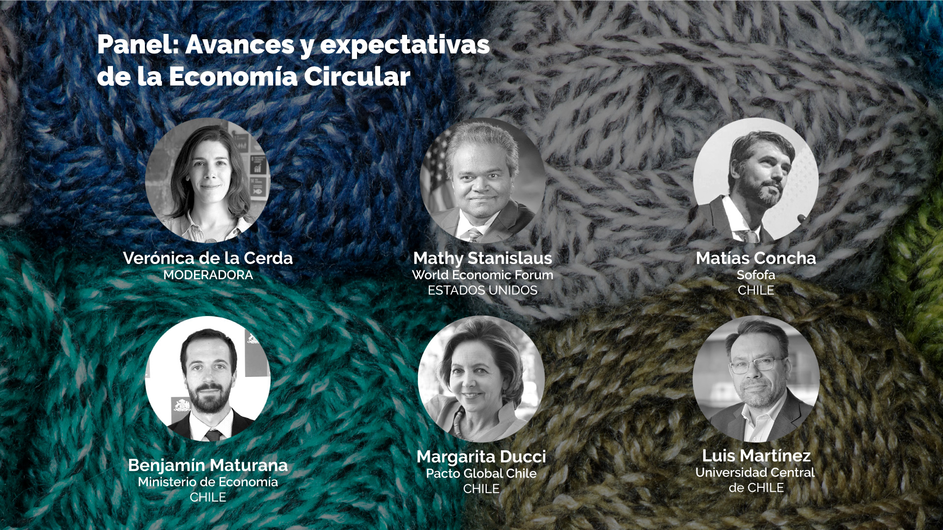 Panel «Avances y expectativas de la Economía Circular»